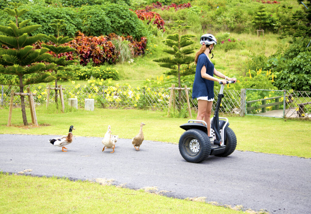 宮古島（シギラリゾート）のセグウェイ体験
