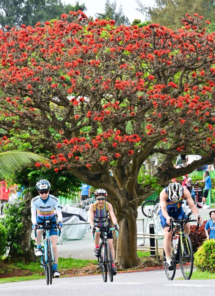 宮古島トライアスロンBIKEの状況