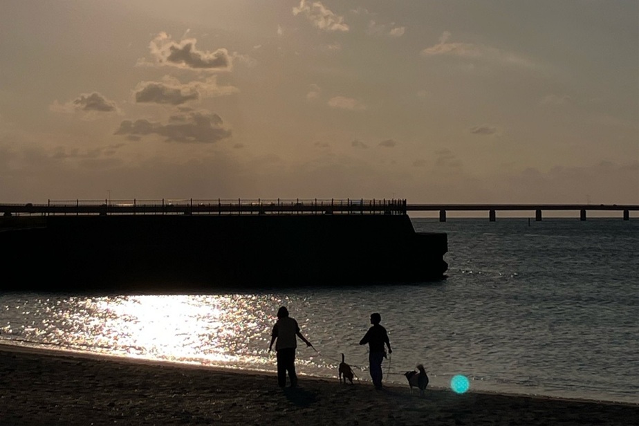 愛犬に優しい宮古島の季節は11月〜４月