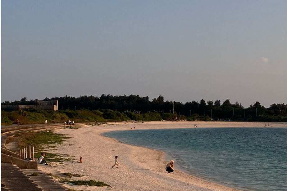 宮古島で愛犬と泊まれる宿