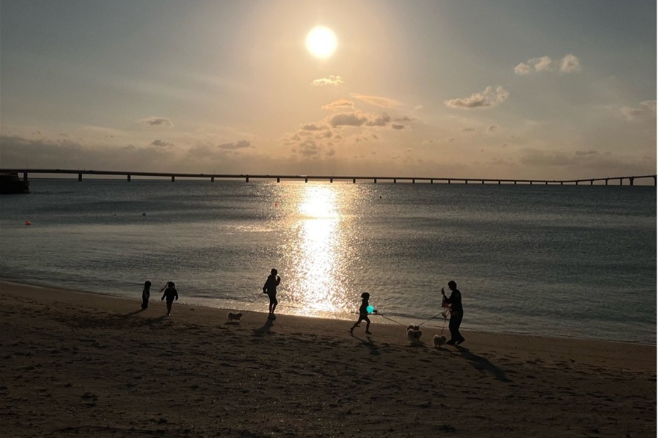 宮古島のペット可ホテルを紹介！愛犬との宮古島旅行のリアルとは？の写真
