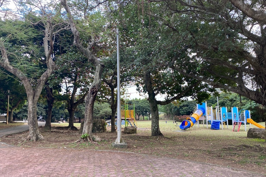 初めての宮古島を家族で満喫するには？子連れ旅行にオススメの観光＆体験ガイドの写真