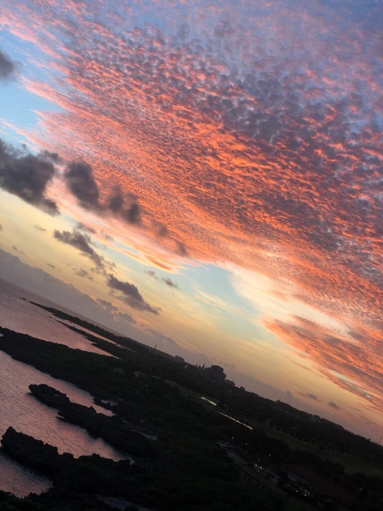 インギャーマリンガーデンのマジックアワー