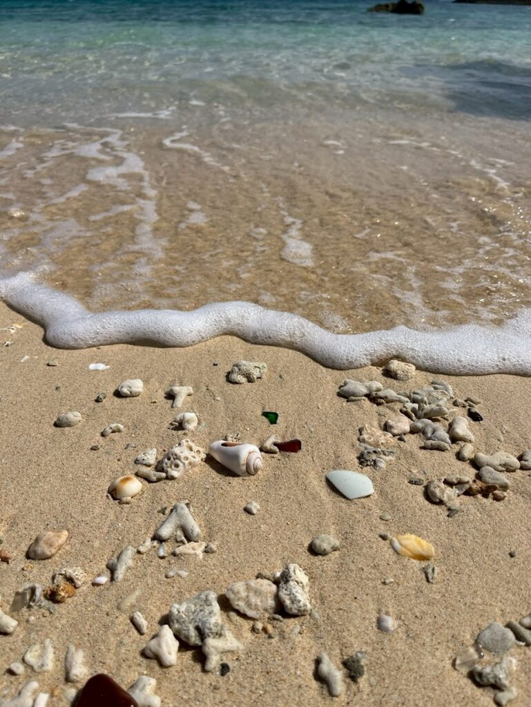 ミジュンマヒダビーチ